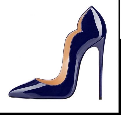 The Ferago Celine Pumps New 2